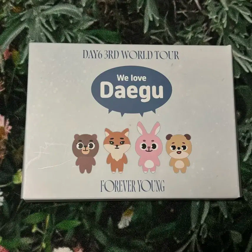 데이식스 대구막콘 입장키트