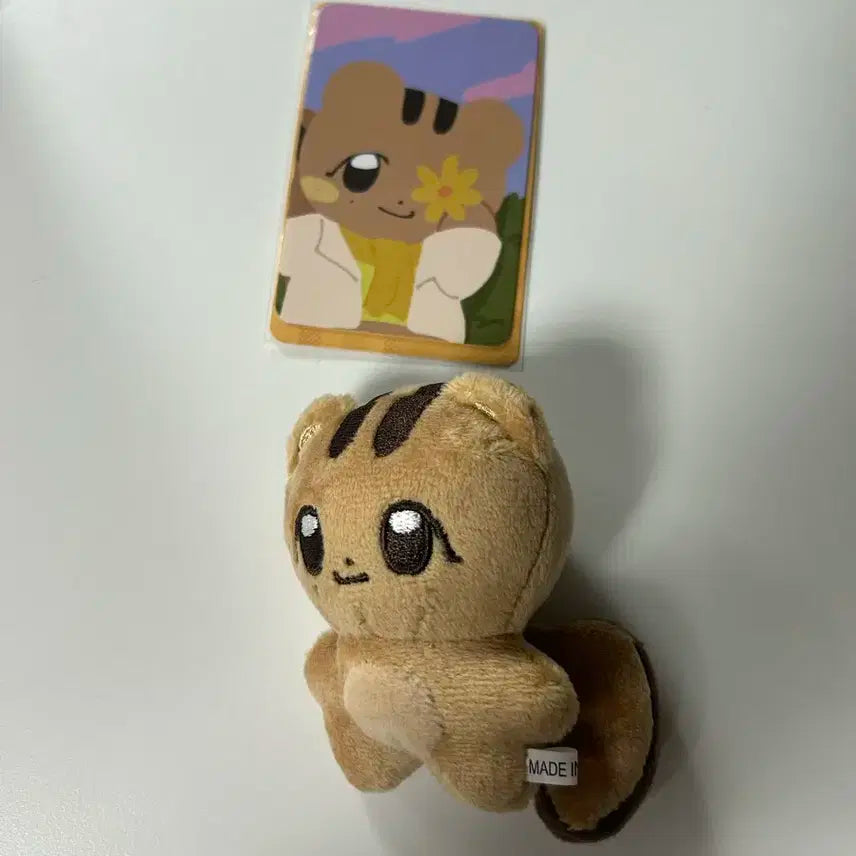 외출x) 세븐틴 정한 인형 쫑람지 양도