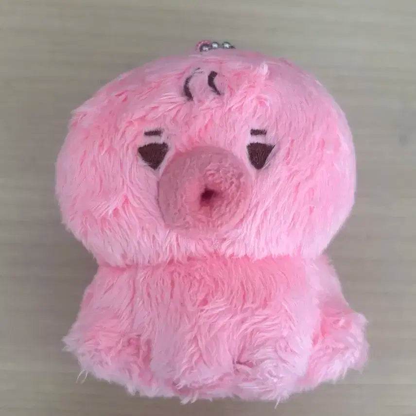 더보이즈 선우 떤코 팔아요
