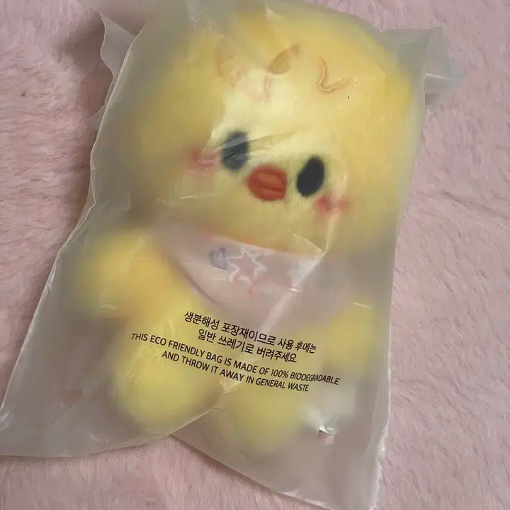 스키즈 5clock 팬미팅 md 스키주 뽁아리 10cm 미개봉