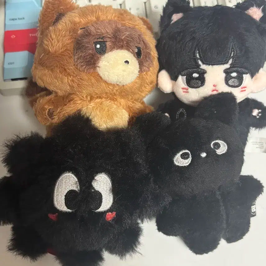 더보이즈 선우 인형 일괄