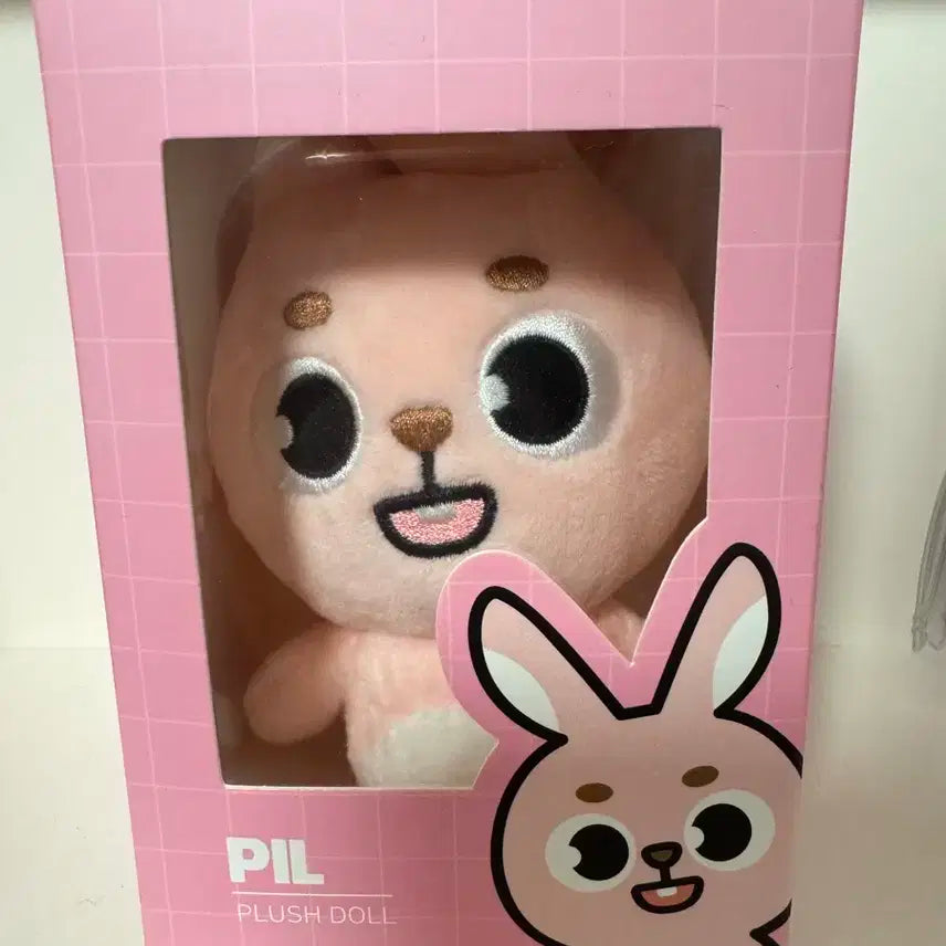 데이식스 데니멀즈 24 필끼