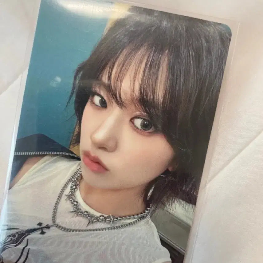 아이브 유진 포카 판매