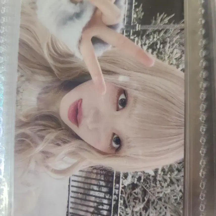 아이브 리즈 엠파시 엠디 포킨