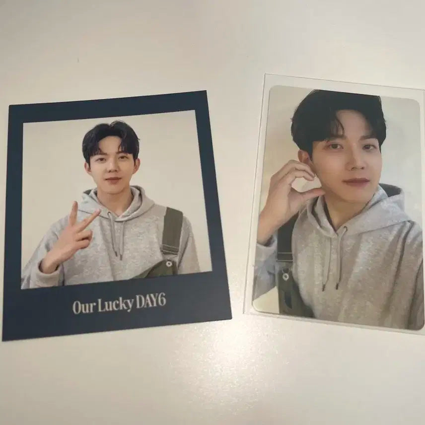 도운 4기 마이데이 키트 포카 폴라 데이식스 분철 사진