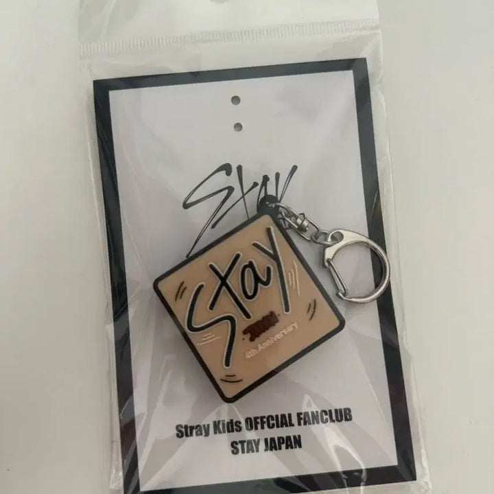 스트레이키즈 승민 보이스 키링