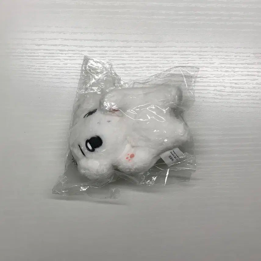 단순개봉) 눕직이 양도 에스파 윈터 직직이