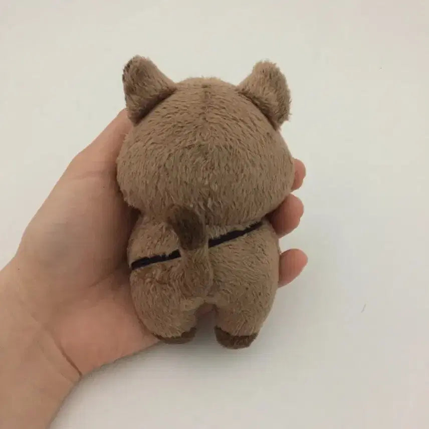 몬스타엑스 셔누 인형 션쿼카