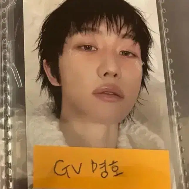 세븐틴 정규 5집 GV응모 특전 명호