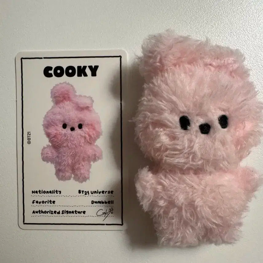 BT21 쿠키 cooky 방탄 정국 인형