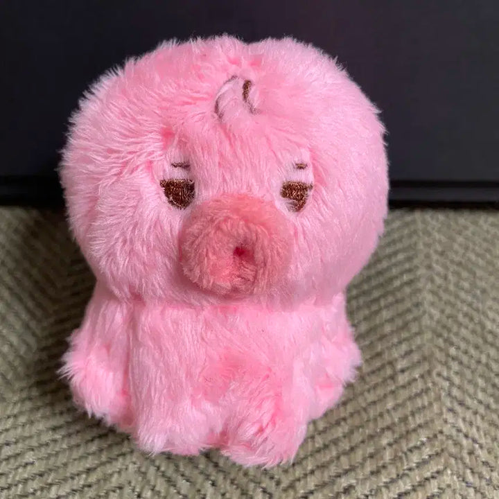 더보이즈 선우 인형 떤코