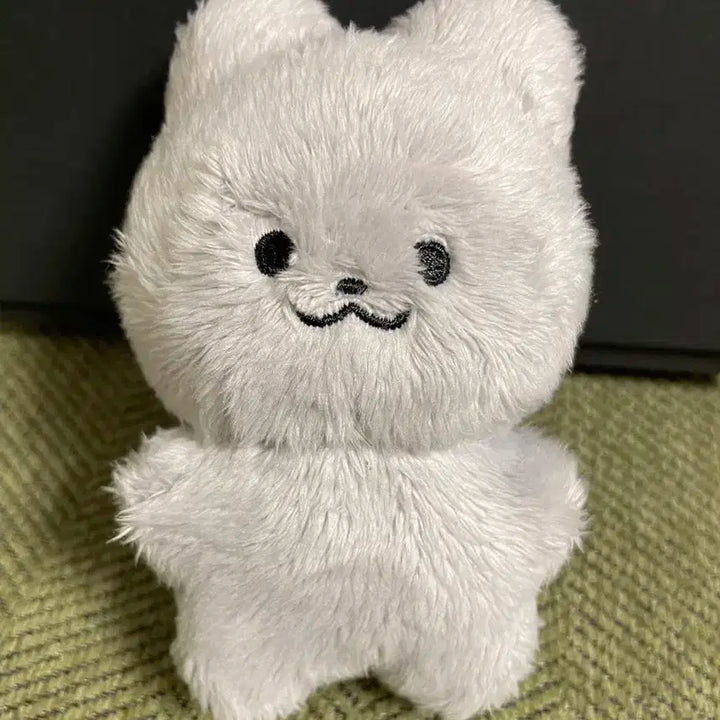 더보이즈 주연 인형 쥬냥이