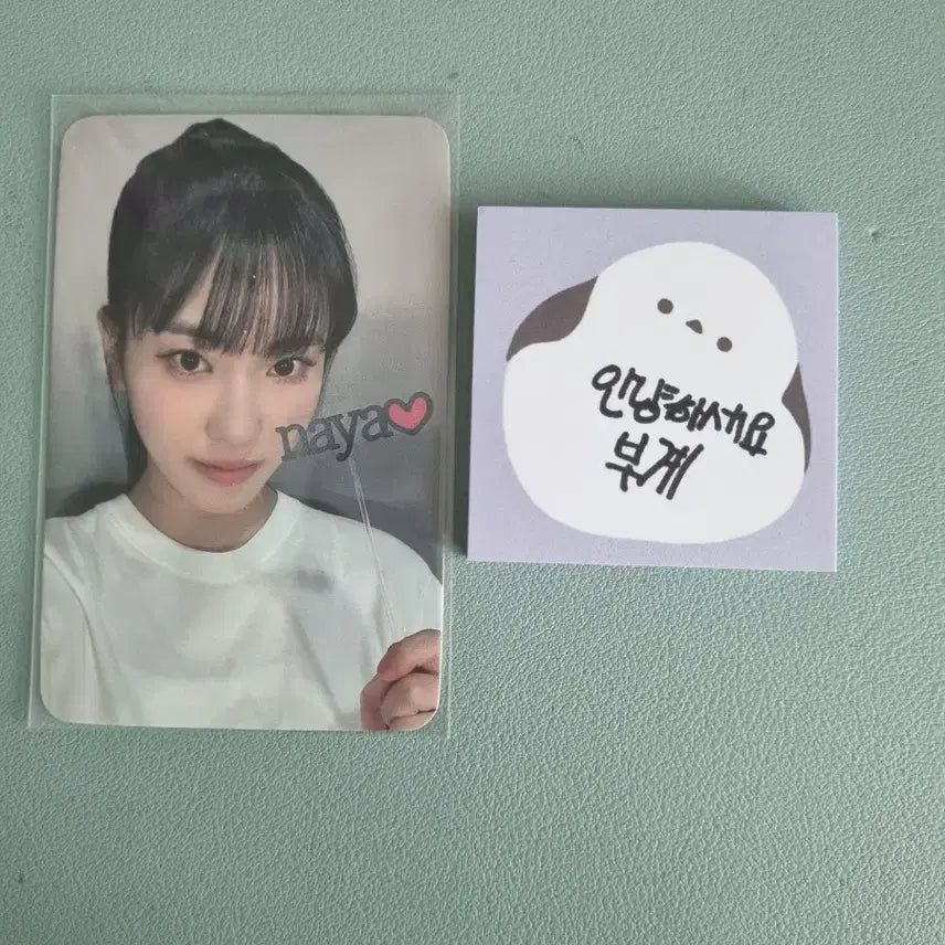 이즈나 코코포카판매양도구매교환돈봉지윤지민사랑세비마이정은IZNAizna