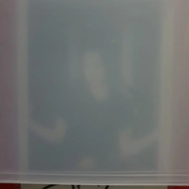 트리플에스 카에데 깨어 공방 싸인폴라