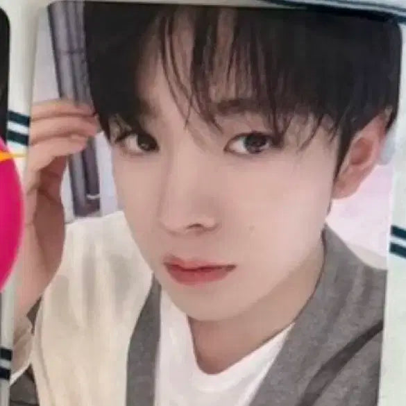 엔시티위시 뮤브 유우시 포카 분철 nctwish 시온 리쿠 사쿠야 재희료
