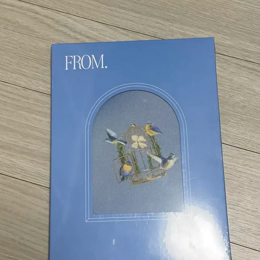 루시 from 앨범