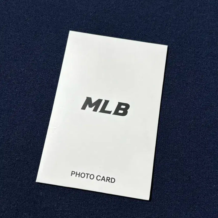 카리나 MLB 포카