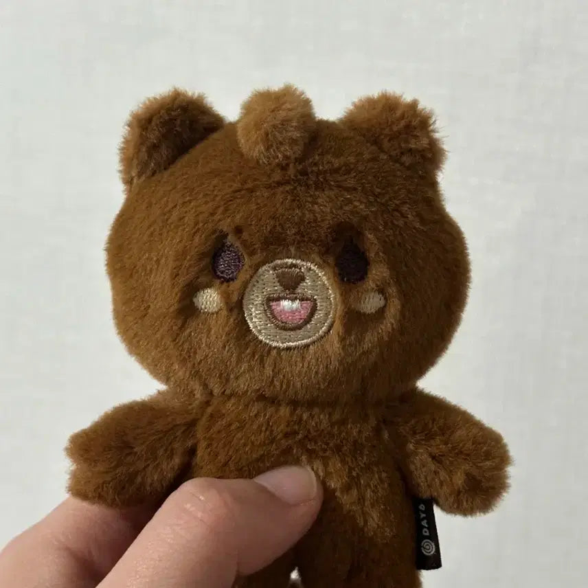 데이식스 쁘띠멀즈 방