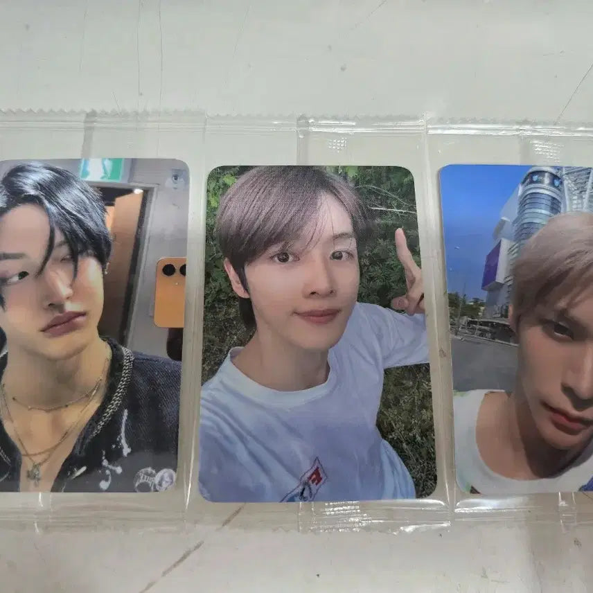 라이즈 케타포 Riizing ktown4u
