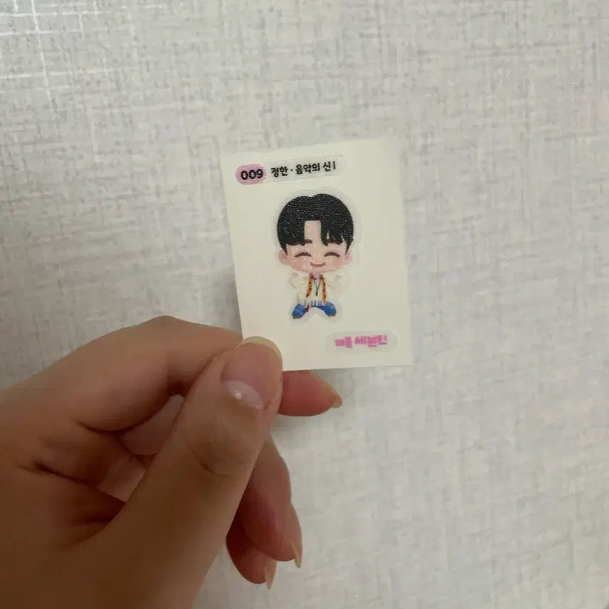퍼즐틴 세븐틴 정한 음악의신1 띠부씰