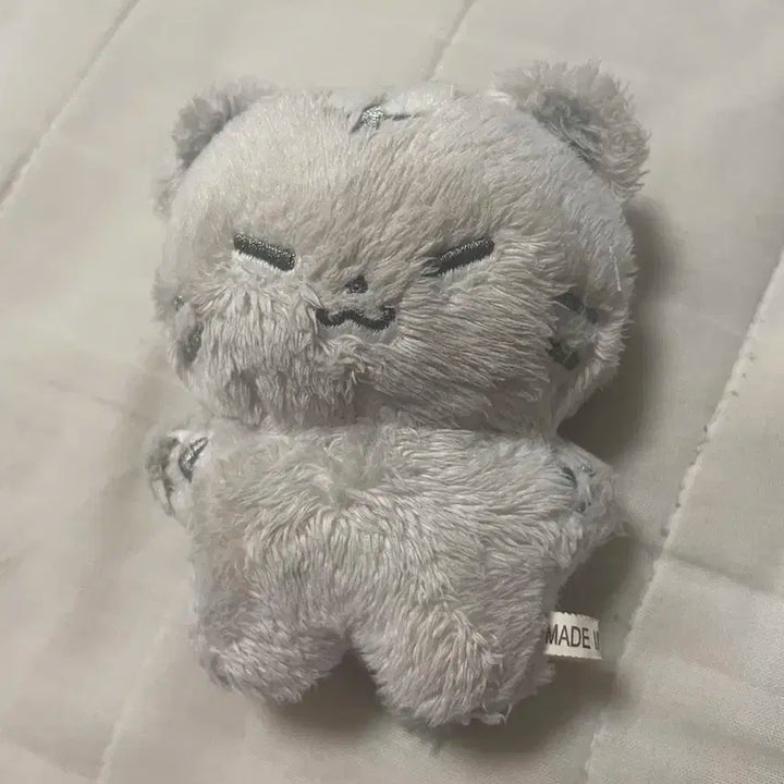 세븐틴 호시인형 호찌