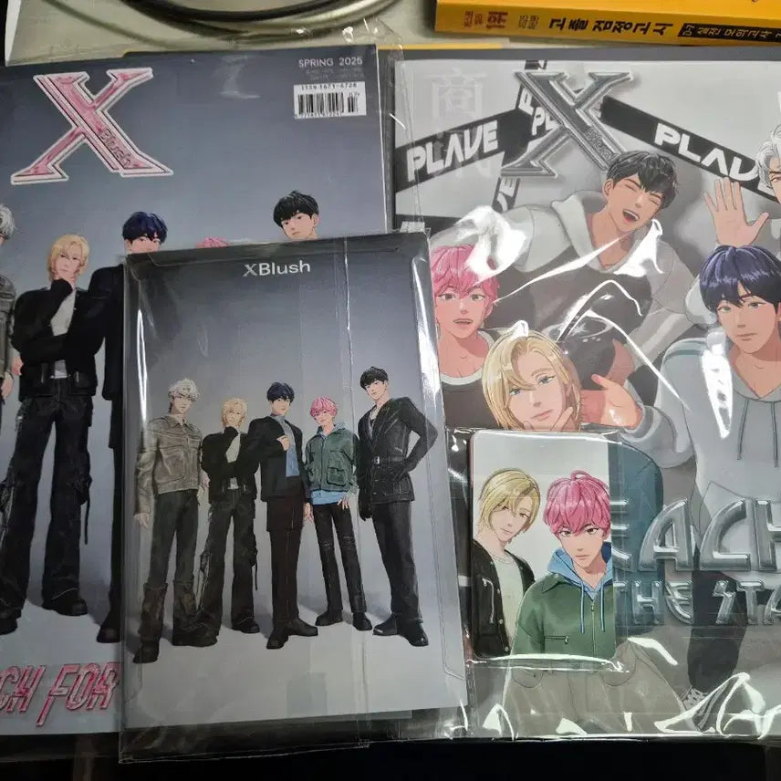 플레이브 XBlush C형 중국 잡지 미개봉 원가 양도