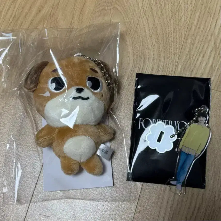 데이식스 일본MD 돈 백참 미개봉