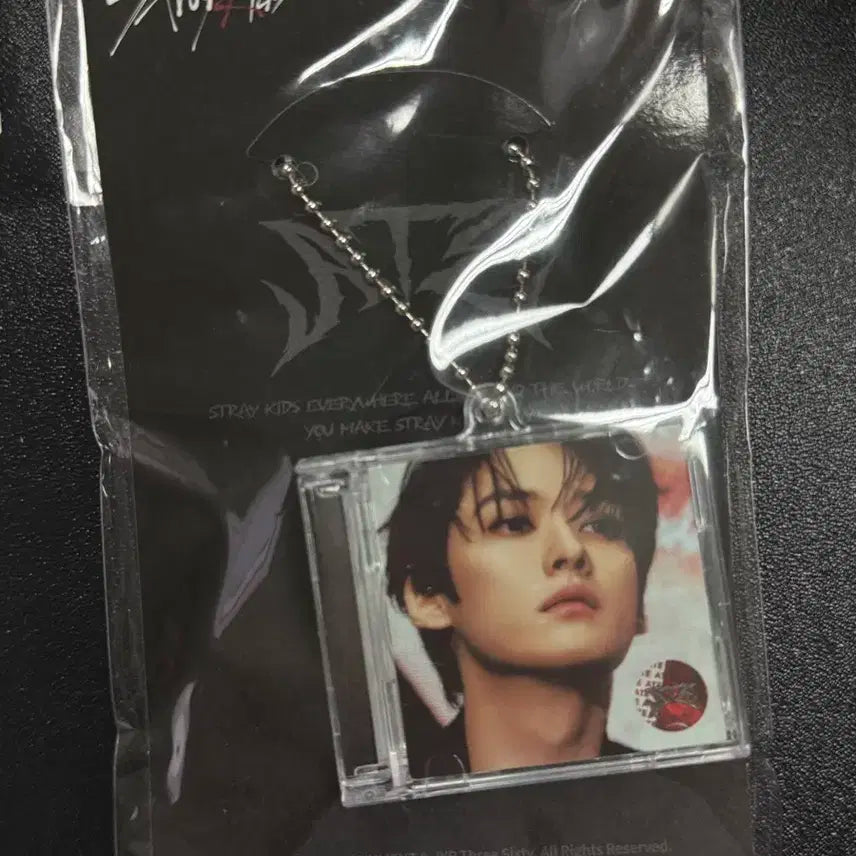 스키즈 스트레이키즈 리노 미니 CD 키링