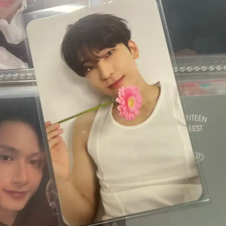 세븐틴 전원우 17 is right here 랜덤포토카드 싸게팔아요