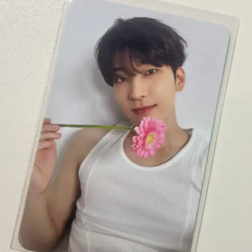 세븐틴 전원우 17 is right here 랜덤포토카드 싸게팔아요