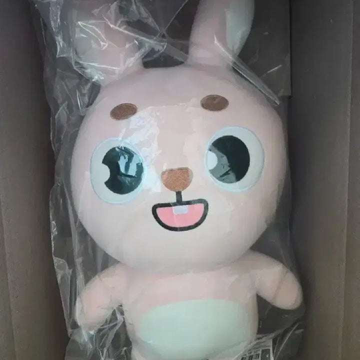 [핫초코 원필] 데이식스 자이언트 데니멀즈 필 필끼 토끼