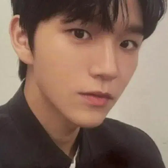 엔시티 위시 포카