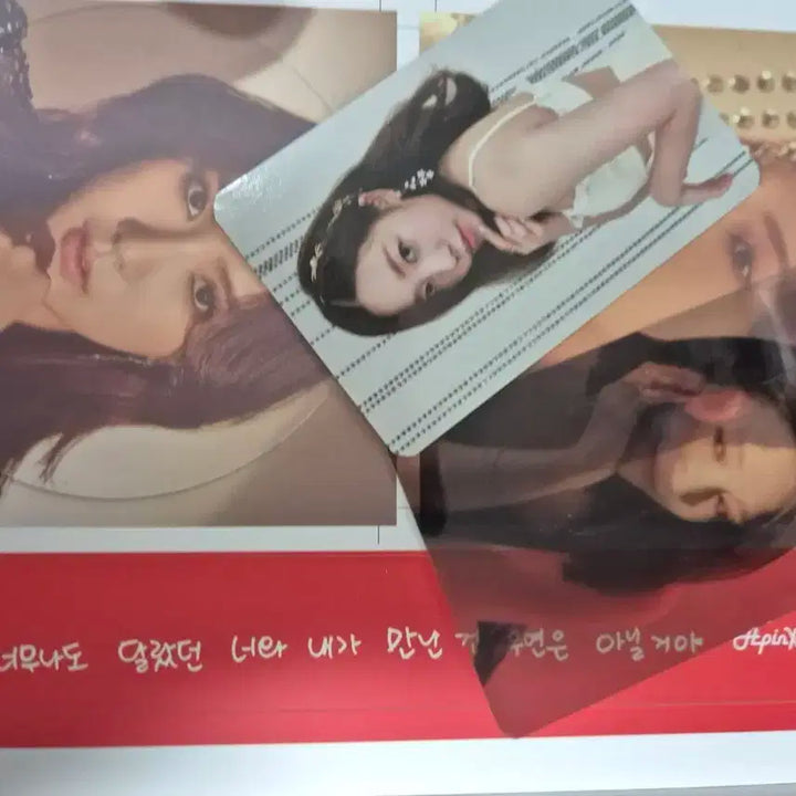 에이핑크 미니8집 음반시디 사인반