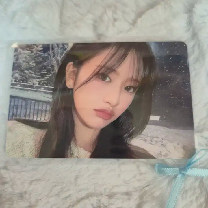 아이브 엠파시 지갑포카 판매