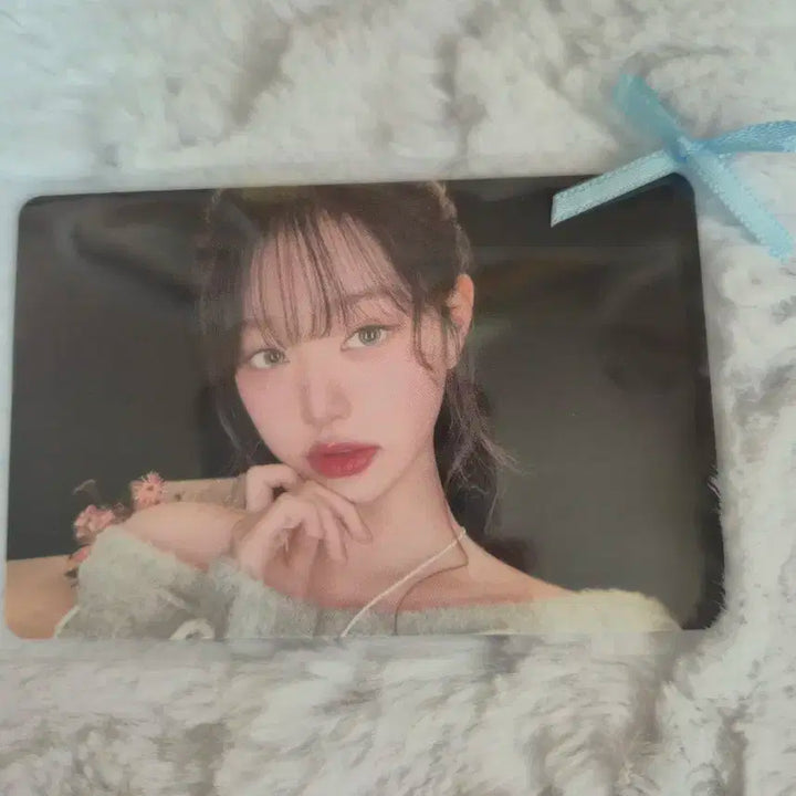 아이브 엠파시 지갑포카 판매