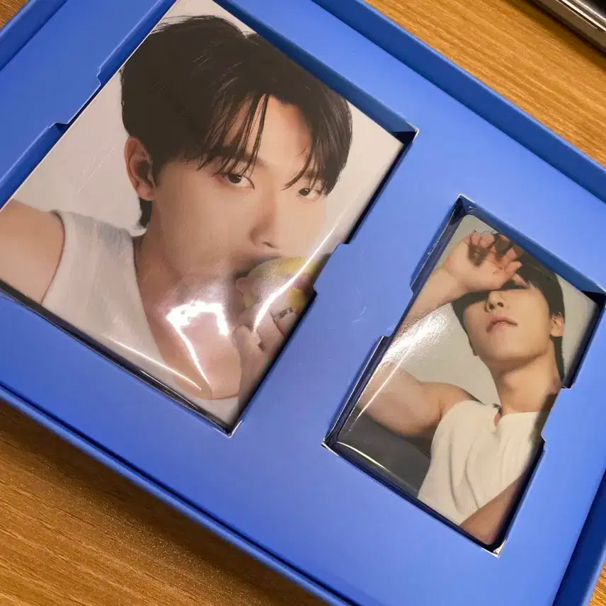 세븐틴 17 right here best 앨범 캐럿반 디노