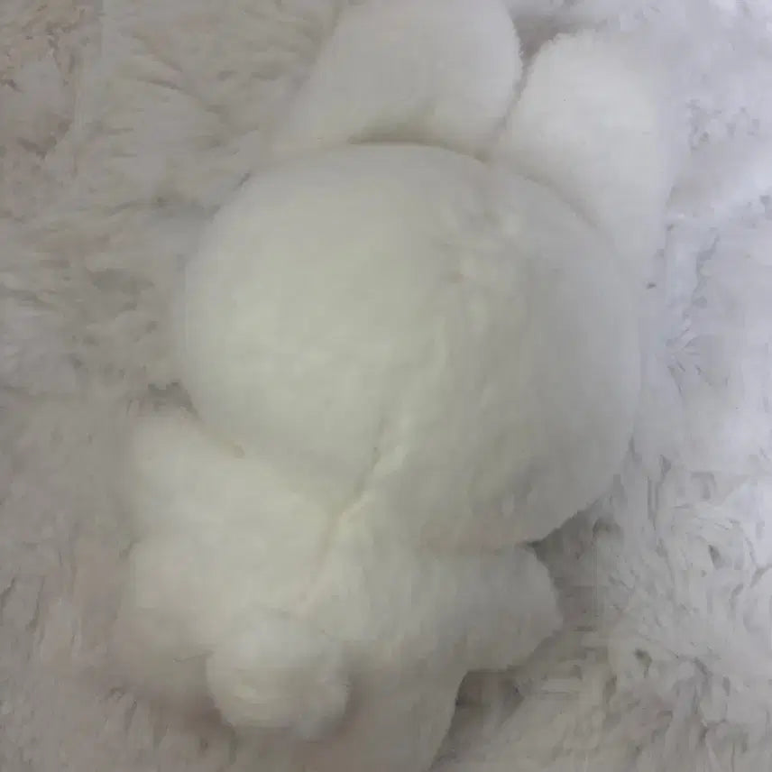 엔믹스 설윤 인형 설끼(+입양증)