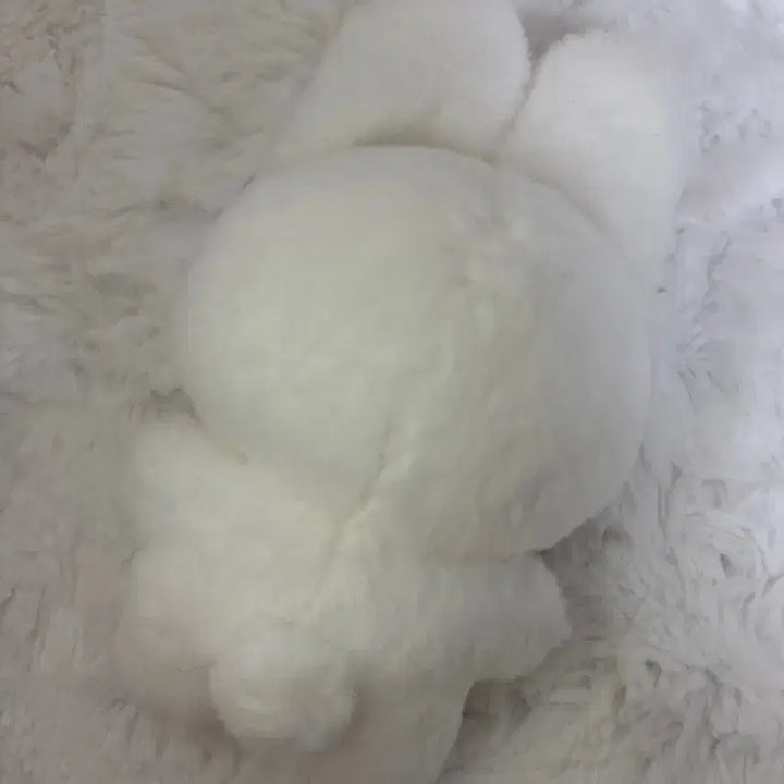 엔믹스 설윤 인형 설끼(+입양증)