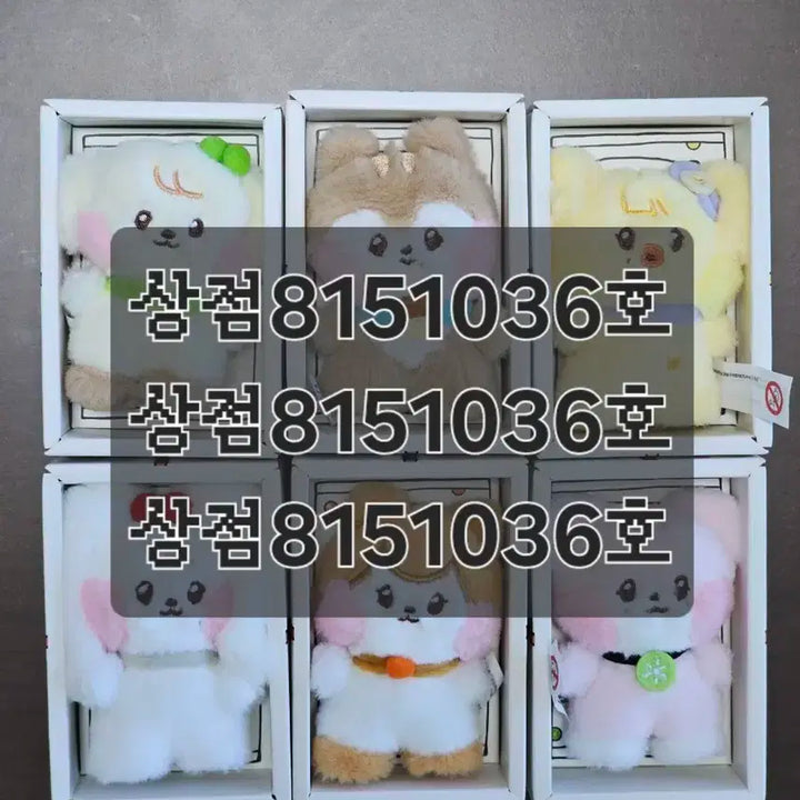 아이브 미니니 미니브 MM PLUSH 엠엠플러시 일괄양도