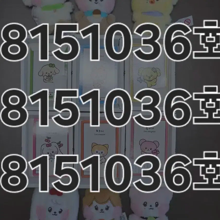 아이브 미니니 미니브 MM PLUSH 엠엠플러시 일괄양도