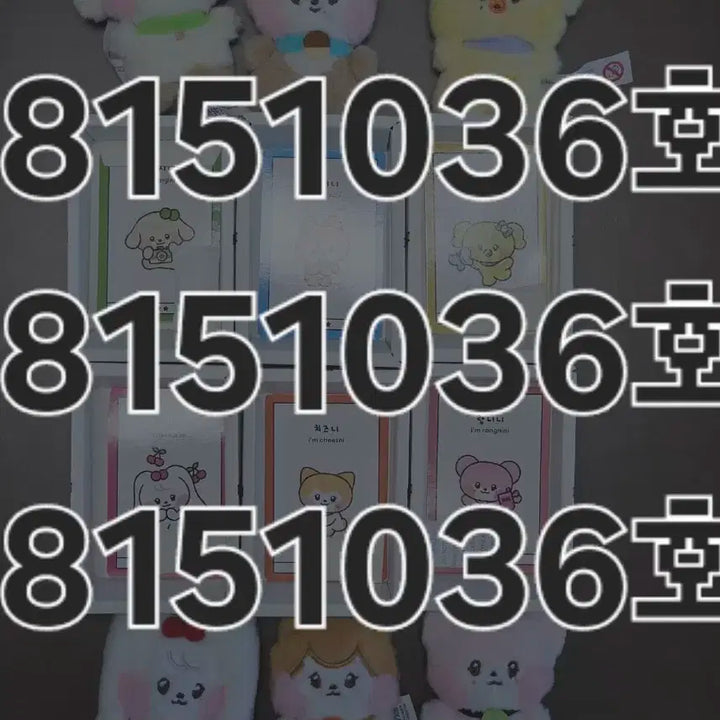 아이브 미니니 미니브 MM PLUSH 엠엠플러시 일괄양도