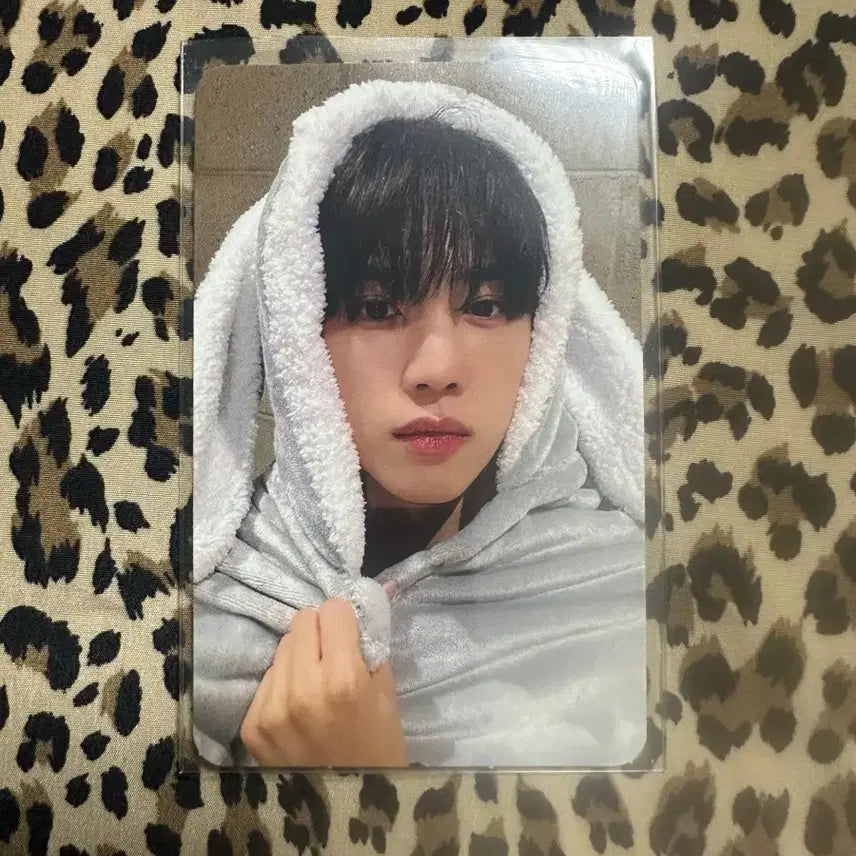 더보이즈 선우 미니레코드 토끼담요 포카