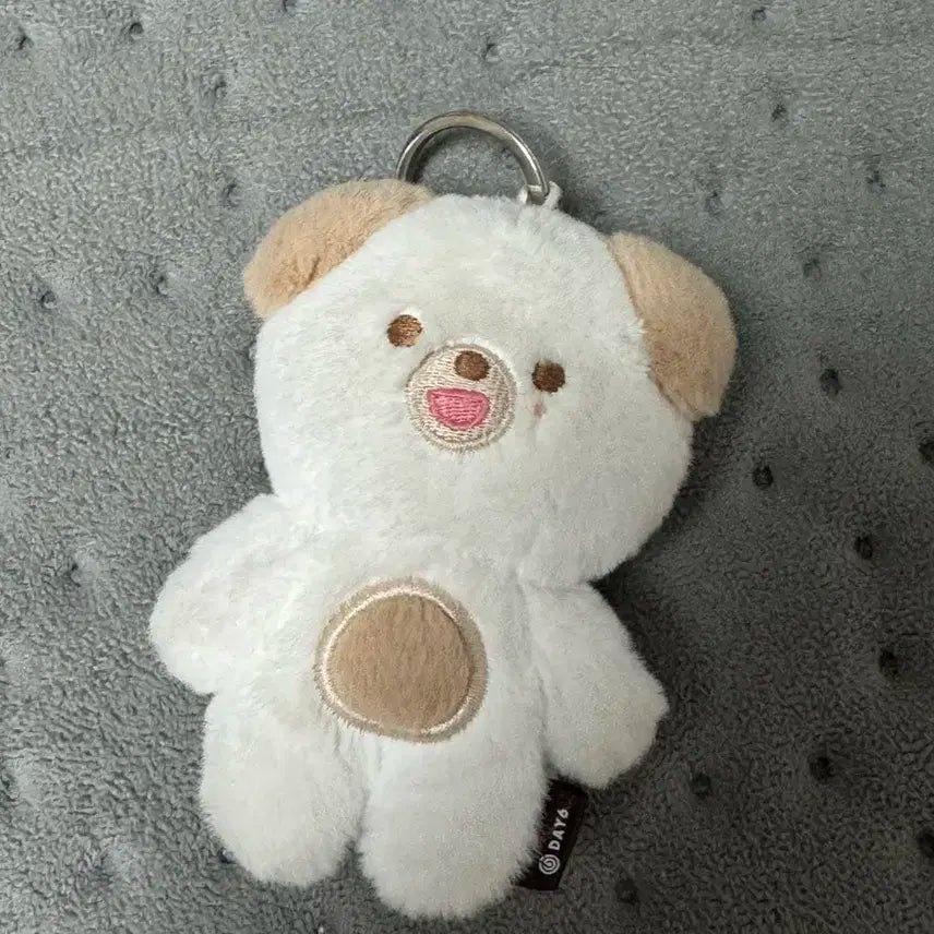 데이식스 쁘띠멀즈 쁘멀 돈