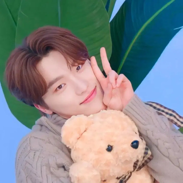 세븐틴 헤븐 정한 스티커 판매/교환
