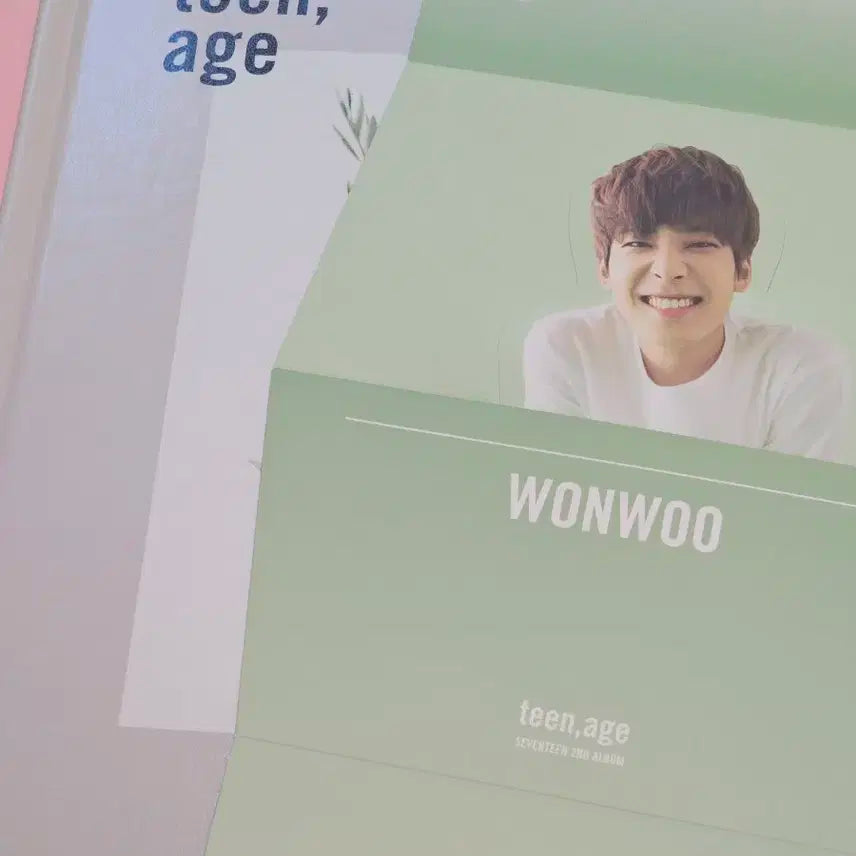 세븐틴 teen,age 원우스탠드