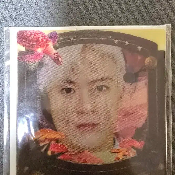 Products – Page 1299 – HALLYUSUPERSTORE
