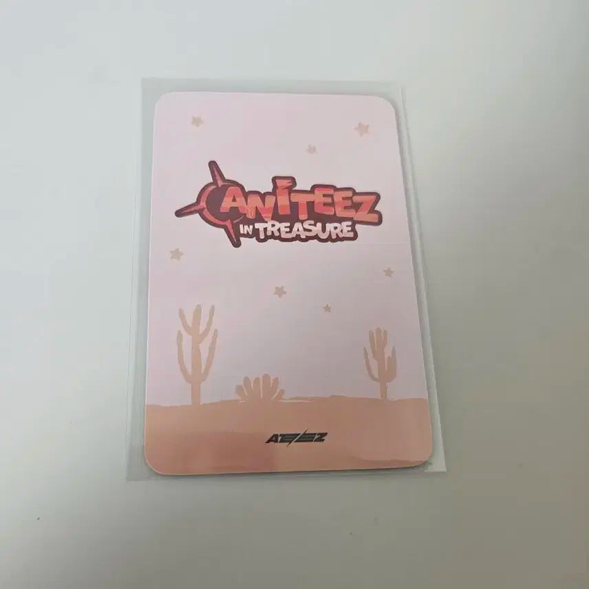 애니티즈 트레이닝카드 우영