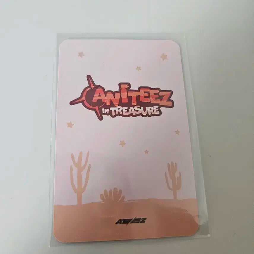 애니티즈 트레이닝카드 종호