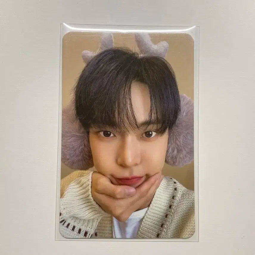 엔시티127 도영 핑크크리스마스 아궁빵포카 양도