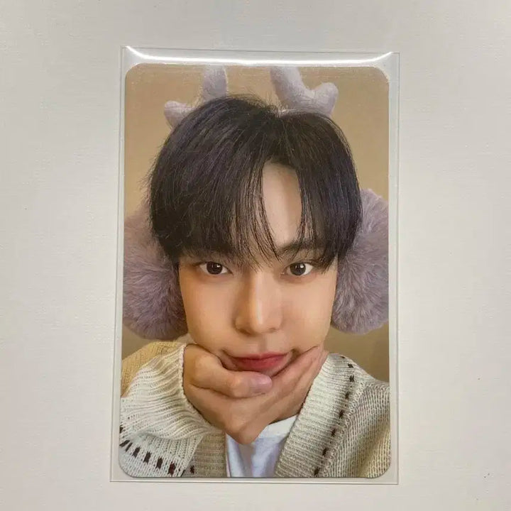 엔시티127 도영 핑크크리스마스 아궁빵포카 양도